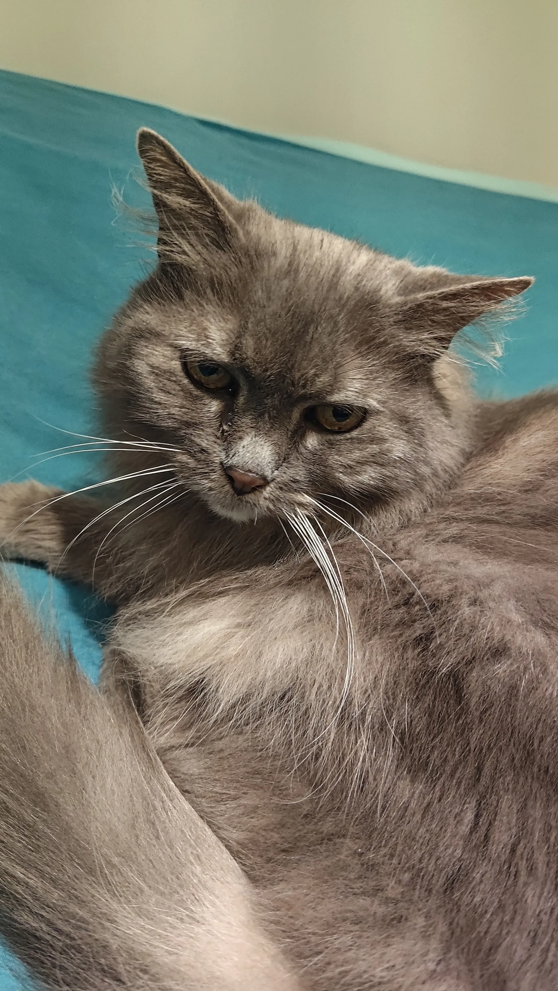 Tiska